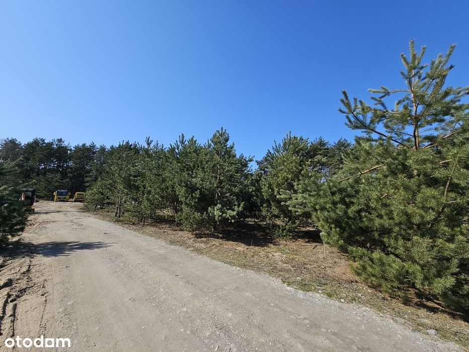 Ostatnia działka przy lesie 911 m² | Cierpice k. Torunia
