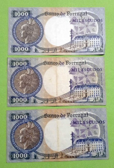 notas de escudo - quem procura, sempre encontra...