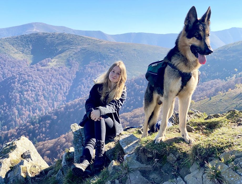 Вʼязка - східноєвропейська вівчарка (восточноевропейская овчарка)