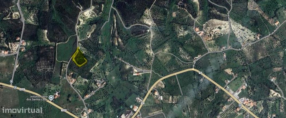 Terreno rústico para venda — Torres Novas (Santa Maria, Salvador E Santiago), Santarém