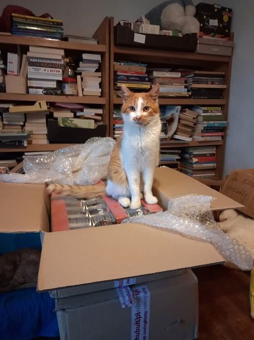 Ostoja Mruczków. Zygmunt do adopcji