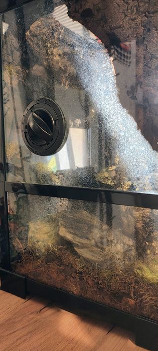 Sprzedam kompletne terrarium 30x30x45