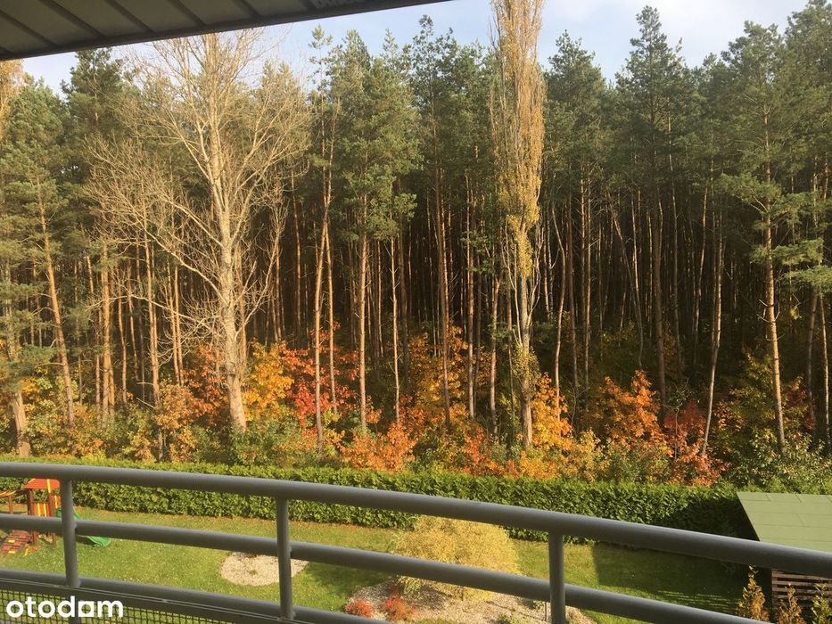 2 pokoje | 2 balkony | Widok na las | Super lokalizacja!