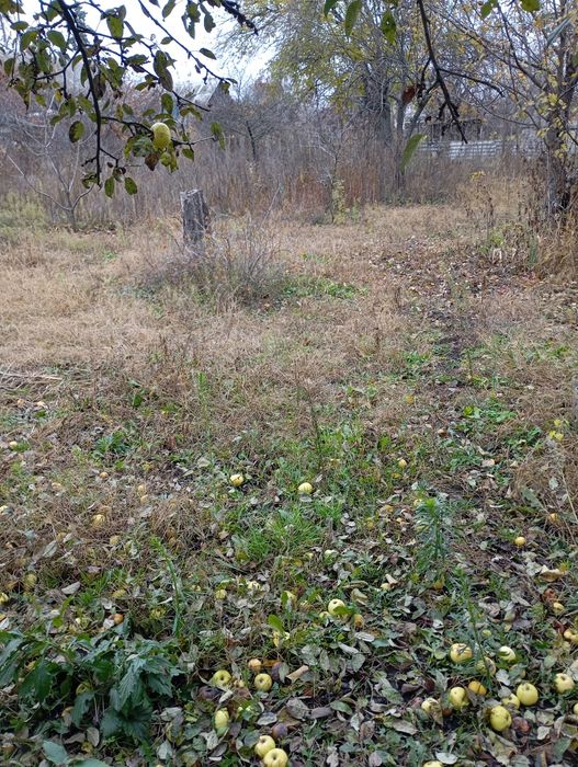 Продам дом Бавария