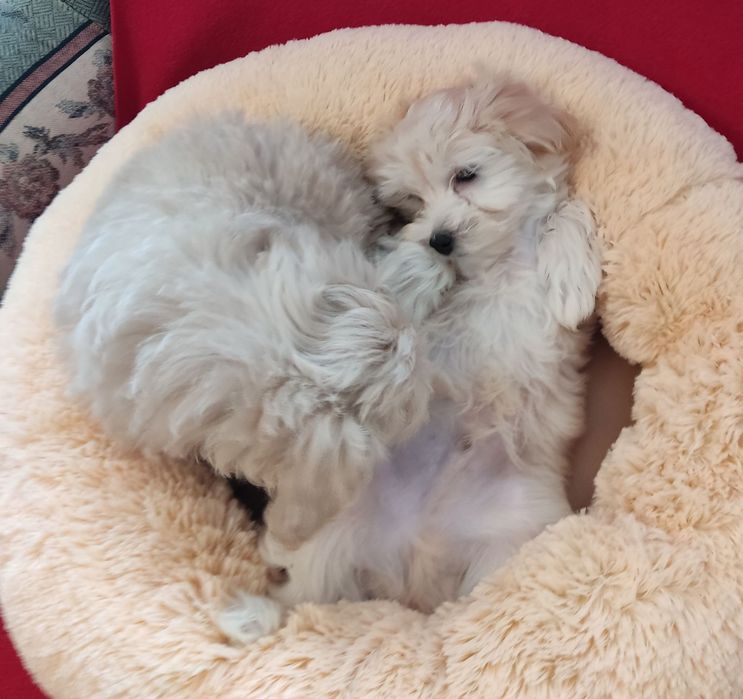 Что подождёт именно вас