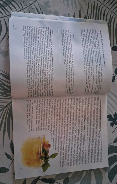 Livro "Cozinhar para os pequeninos"
