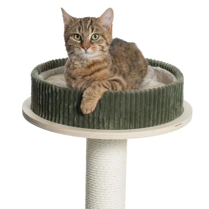 Modern Living Drapak dla Kota Helsinki S Zielony 50x50x97cm MAŁY o