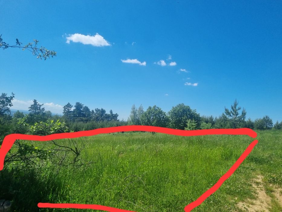 Земельна ділянка