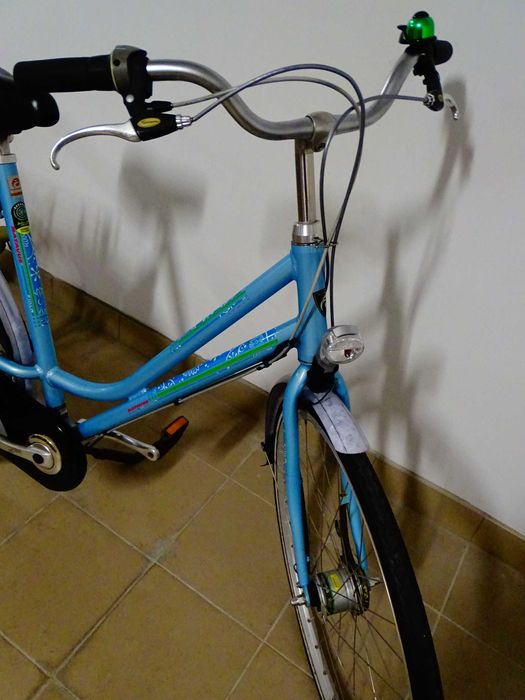Rower Batavus Flash