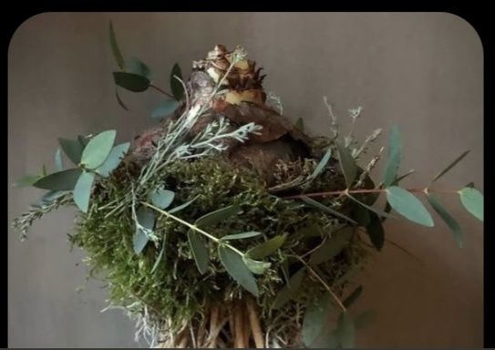 5 wersji Cebula amarylisa w zimowej oprawie