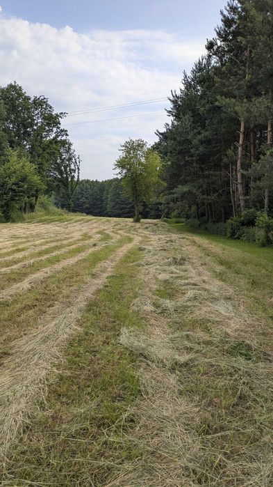działka do wynajęcia do A1 Mszana 10 min. - View 6