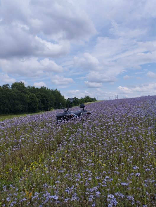 Квадроцикл linhau m170