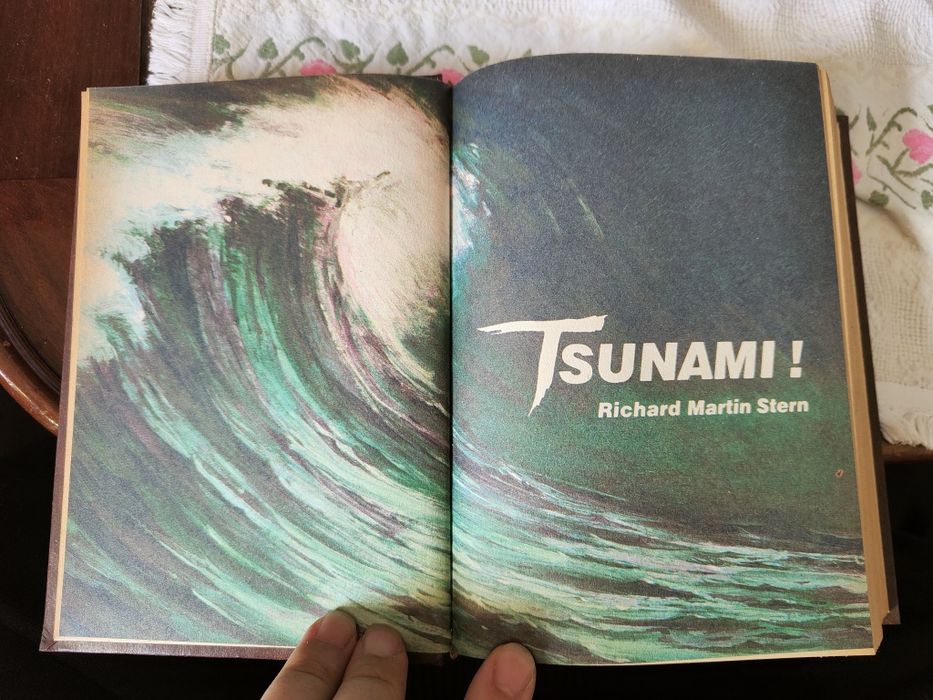 Livro Condensado com 4 Histórias e Ilustrações