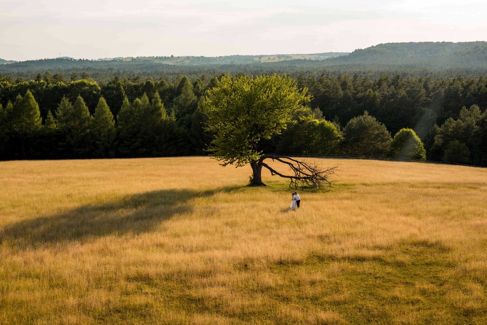 FOTOGRAF ŚLUBNY fotografia wesele sesja plener WOLNE TERMINY tanio
