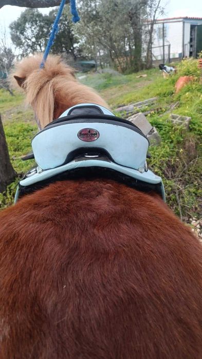 Sela de cavalo para crianças