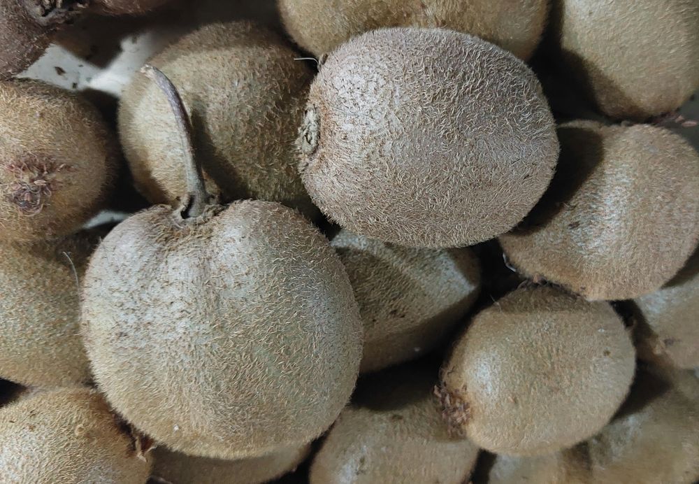 Kiwi de boa qualidade