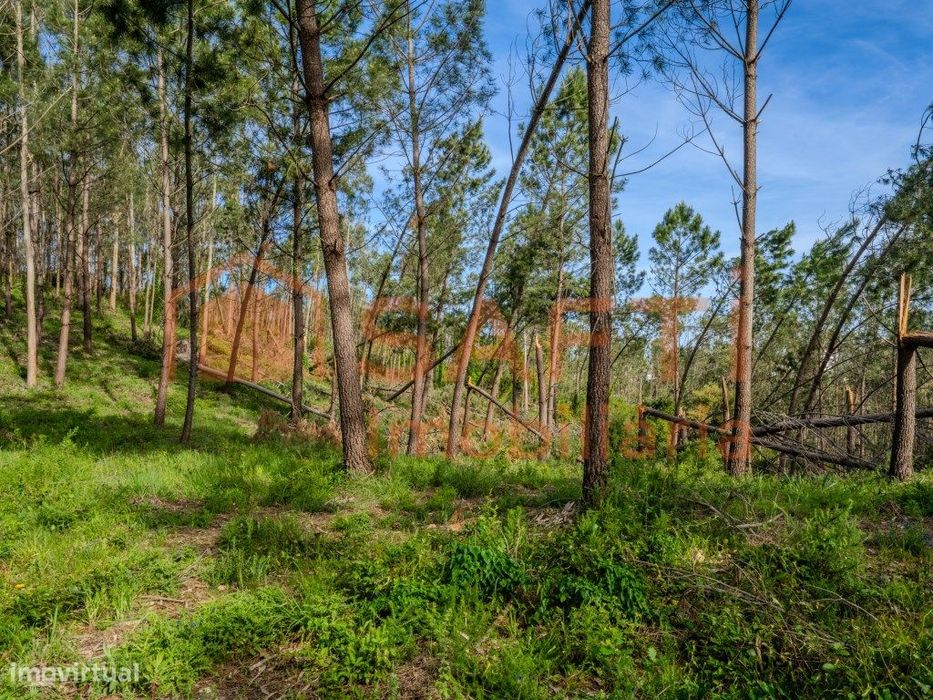 Land for Construction