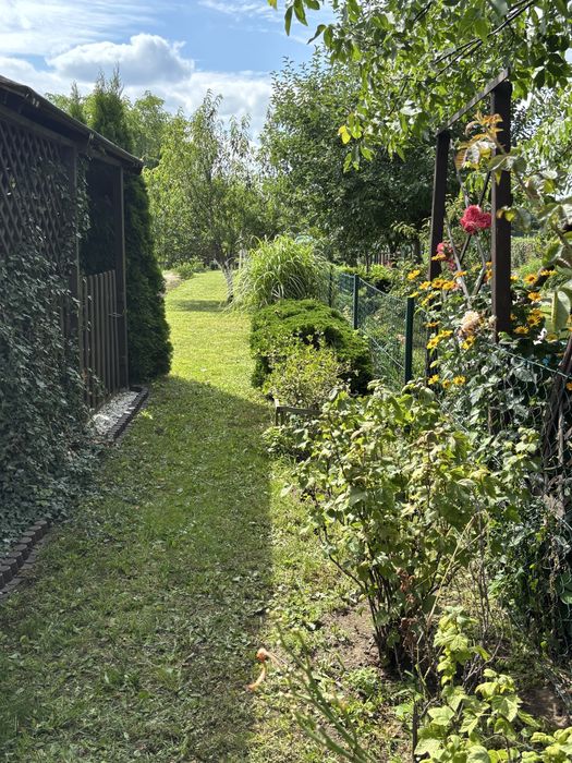 Działka ROD Pruszcz Gdański - Widok 5