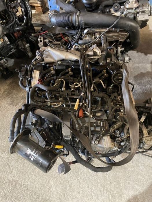 Motor Seat 1.6tdi 95cv DGT