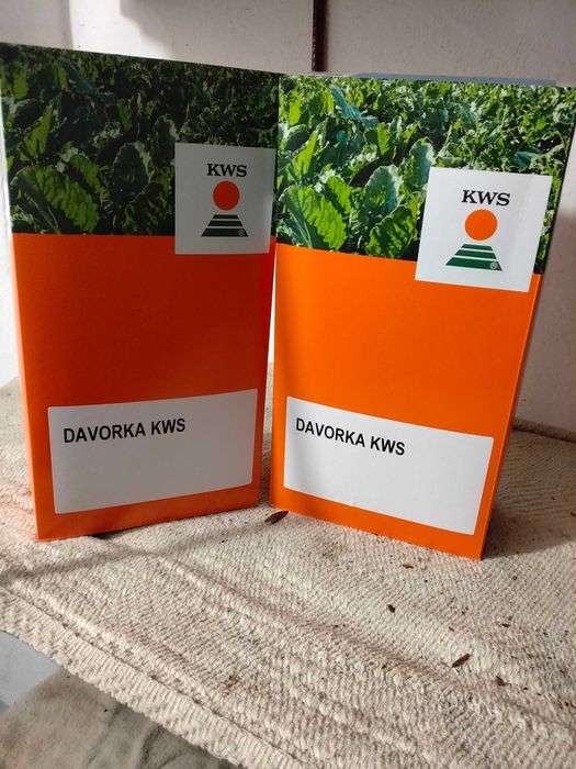 Nasiona buraka cukrowego KWS Davorka !!!