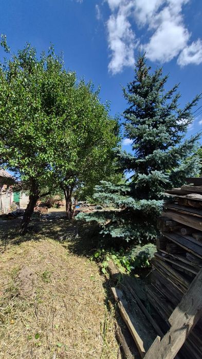 Продам  садибу під реконструкцію на  9 сот