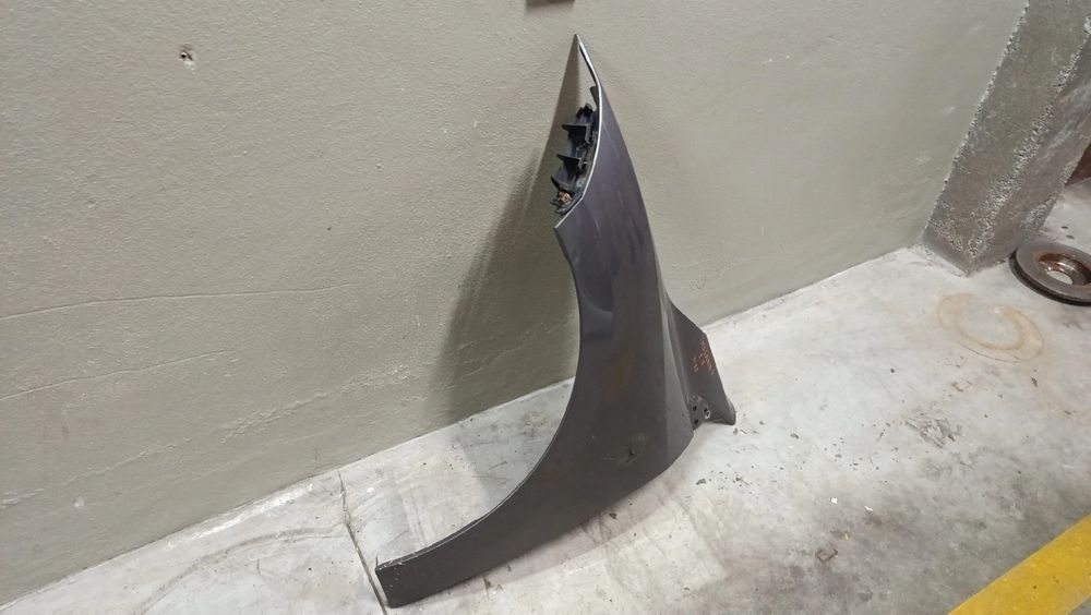 Guarda-lamas esquerdo RENAULT Megane III (BZ0_)