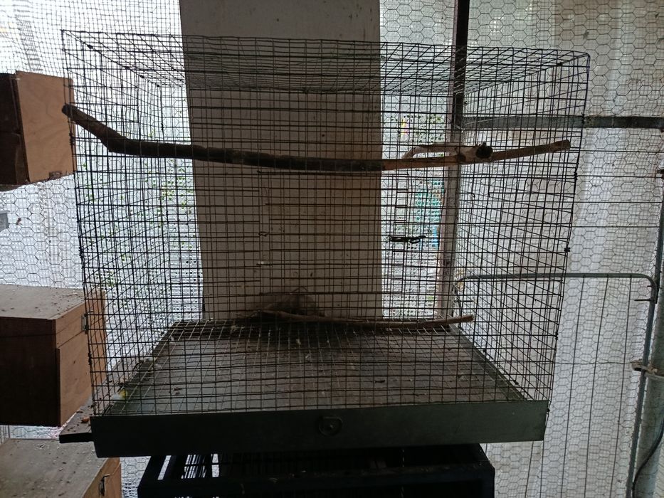 Gaiolas usadas várias