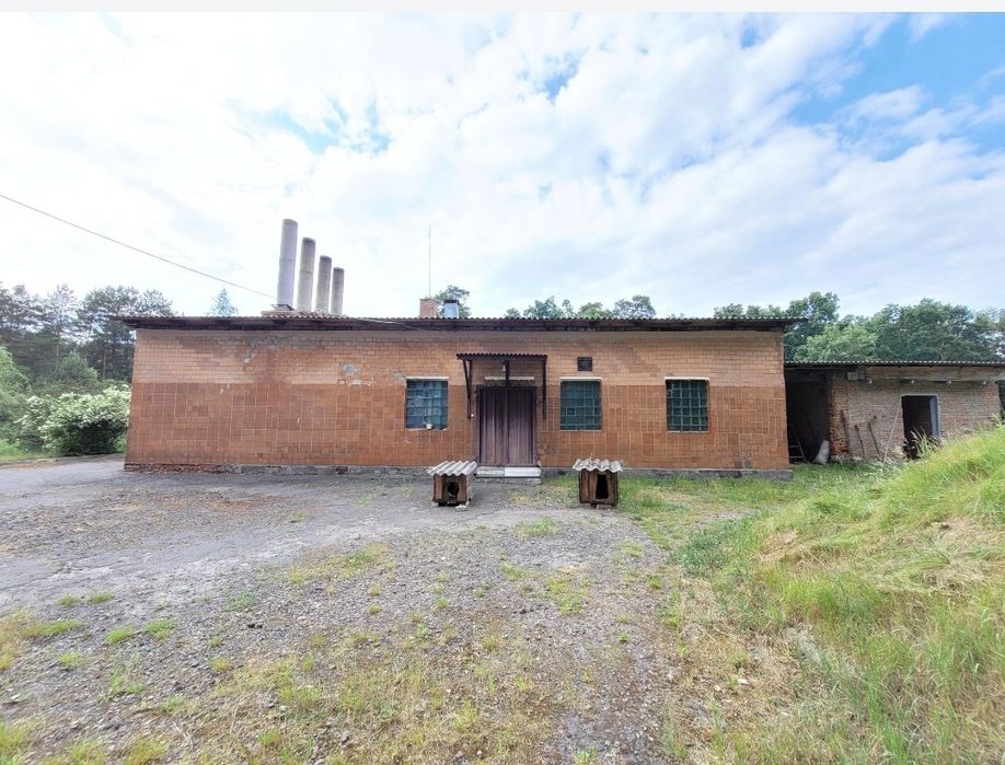 Продам! Виробничу базу,(ковбасний цех) 58сот, 530м2!