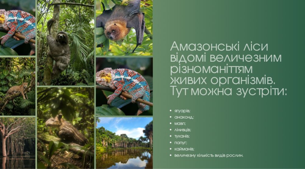 Зроблю вам презентацію