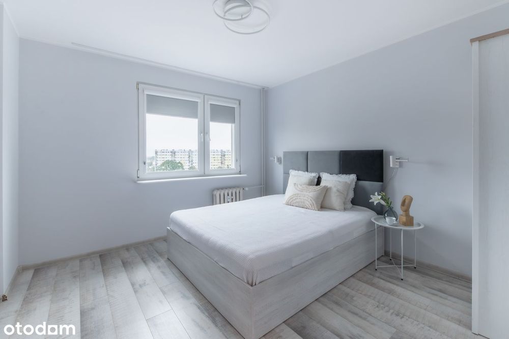 3 pokoje w centrum Torunia | loggia | Młodzieżowa