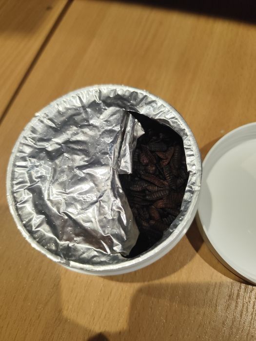 корм для рептилий