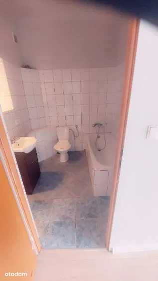 Zdjęcie 3