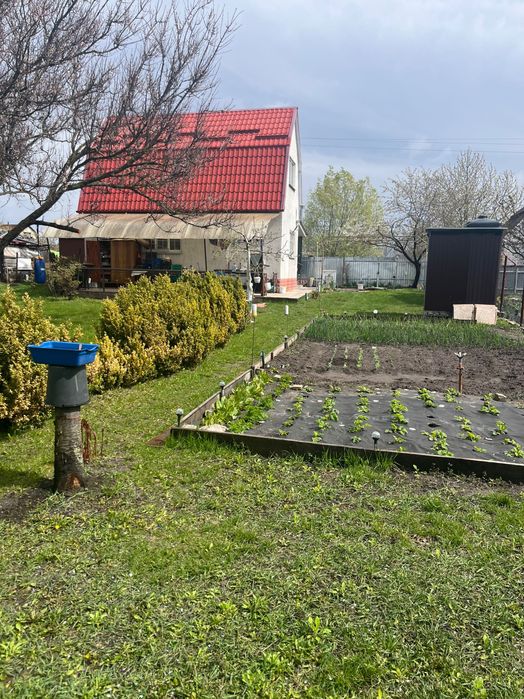 Дача СТ «Тарасівське» село Вільне Броварський район Київська область
