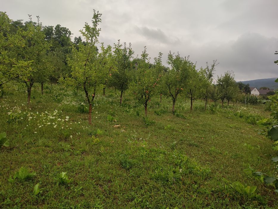 Земельна ділянка з нежилим будинком.