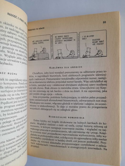 Radość z pracy według Dilberta - Scott Adams