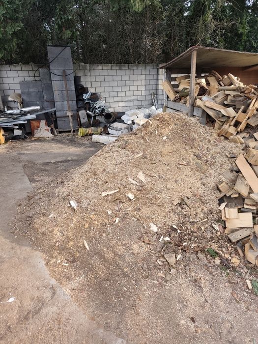 Oddam trociny świeże