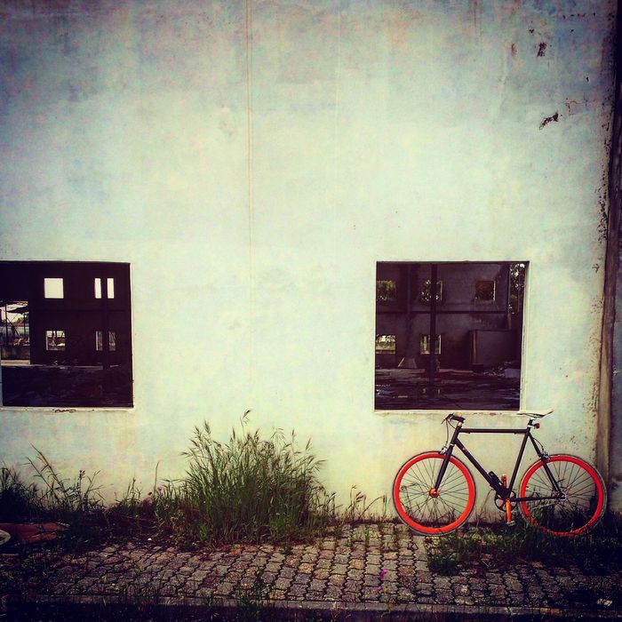 Bicicleta Fixie & Single-speed