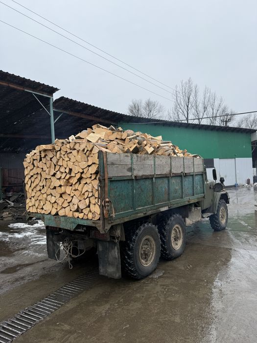 Колоті дрова  бук