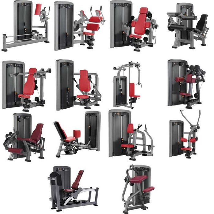 Zestaw 16 maszyn LIFE FITNESS z serii Insignia