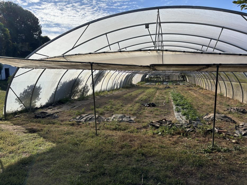 Estufa em forma de tunel
