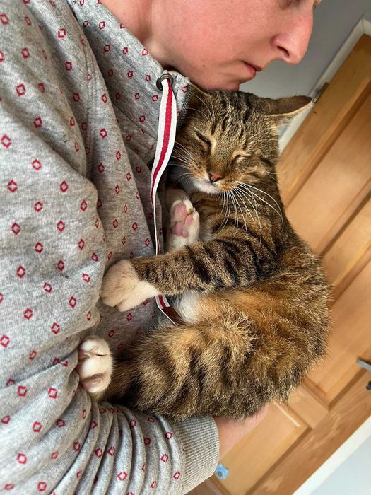 Pokochaj KULISIA - kocurka z niedowładem nóżek