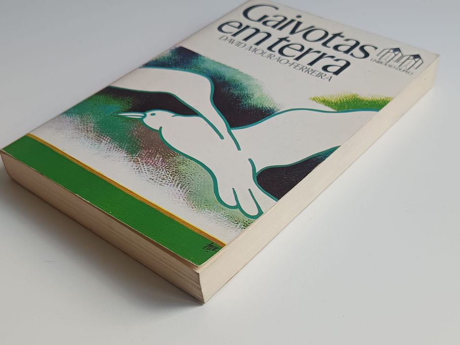 Gaivotas em terra