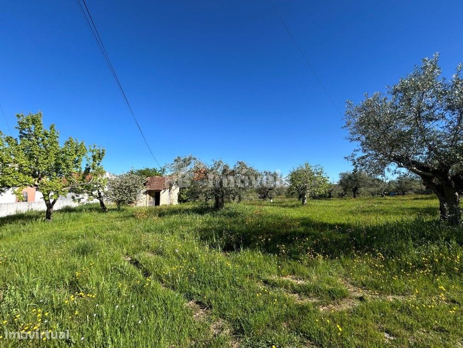Terreno plano para construção - Pesqueira, Tomar