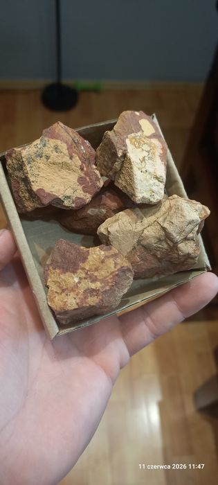 Minerały zestaw pseudojaspisu