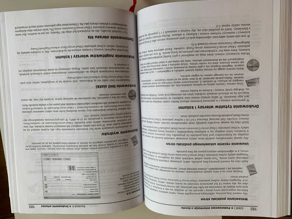 MS Excel 2010PL BIBLIA - stand bardzo dobry