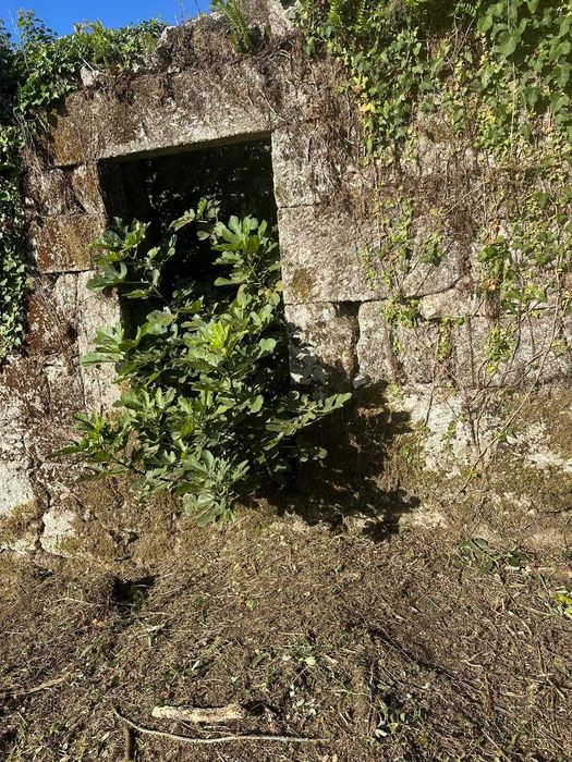 Quinta com Projeto - Rio Frio, Arcos de Valdevez.