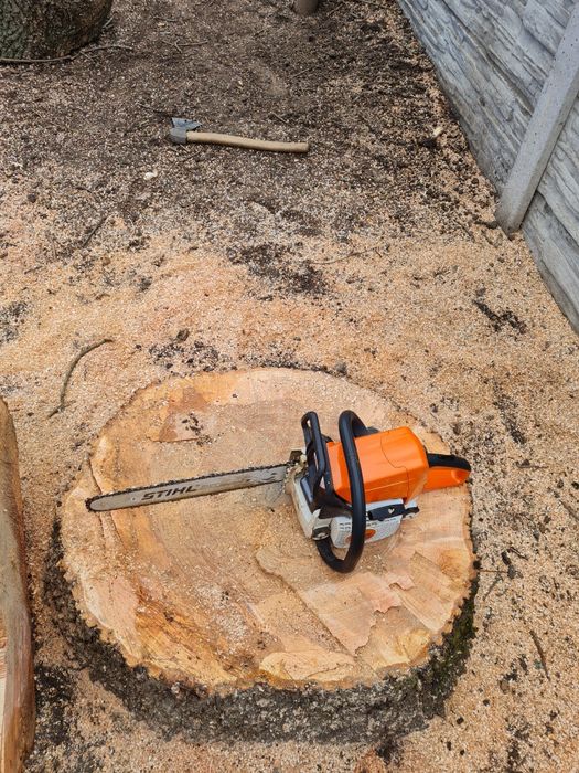 Спил деревьев обрезка веток любой сложности