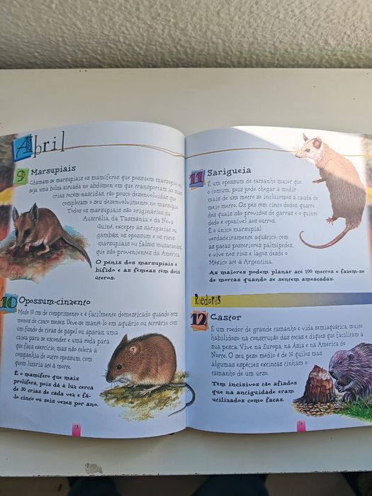 365 Curiosidades Sobre Animais