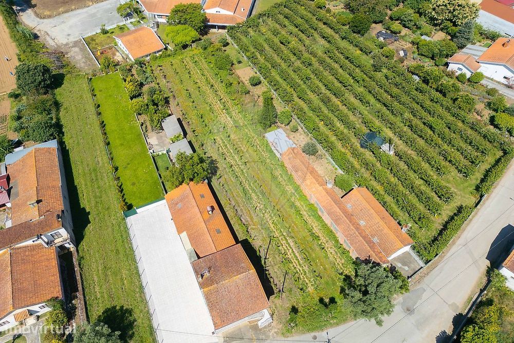 Terreno  para venda — S. Lourenço Do Bairro, Aveiro