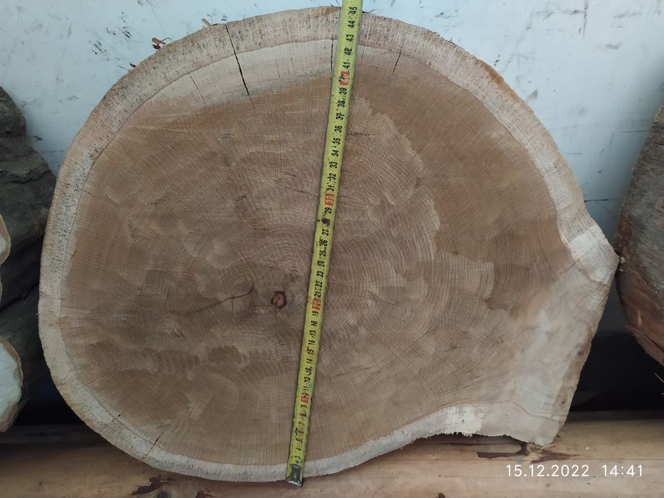 Talarki plastry drewna  dąb